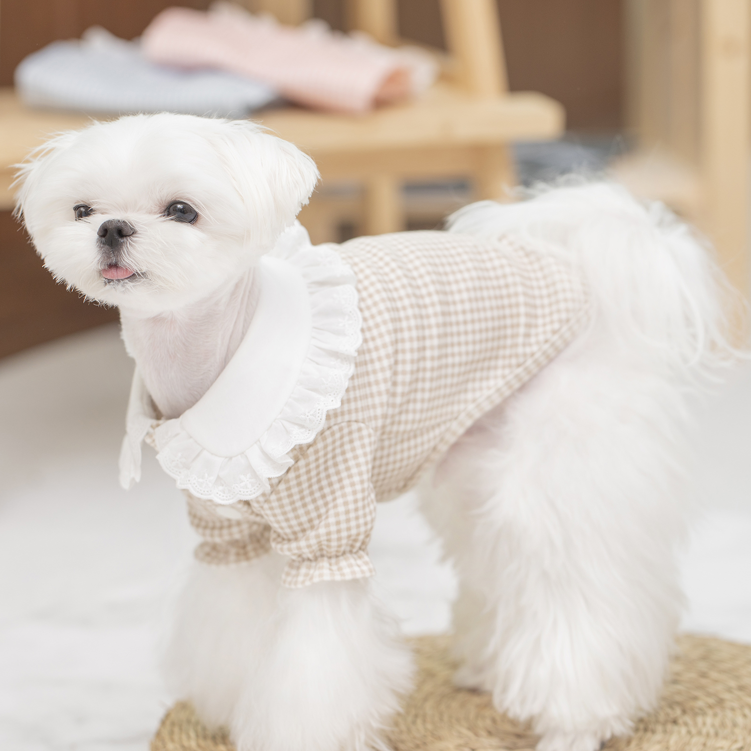 오프닝뮤즈 체크 프릴 가디건 오가닉 강아지옷 강아지가디건 - 상세 이미지 4