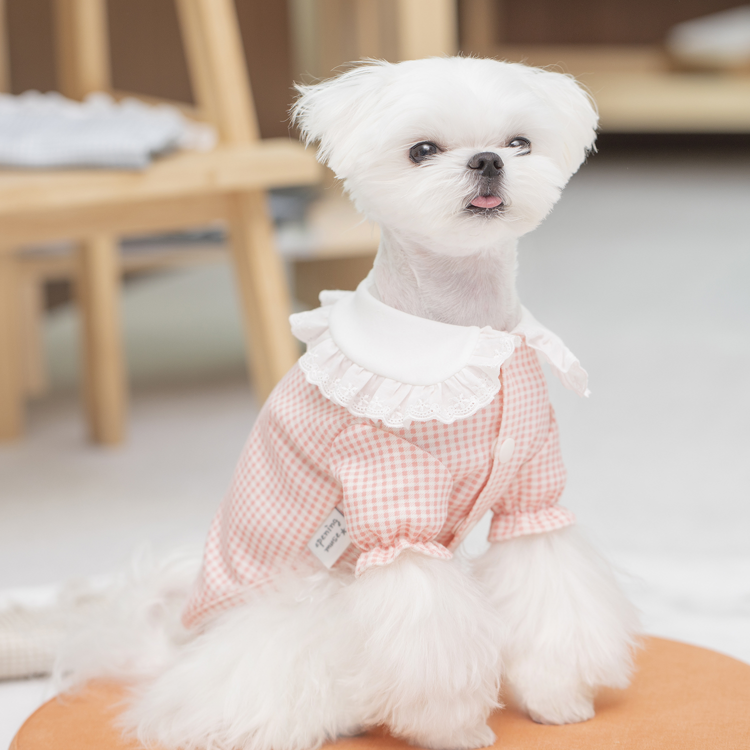 오프닝뮤즈 체크 프릴 가디건 오가닉 강아지옷 강아지가디건 - 상세 이미지 5