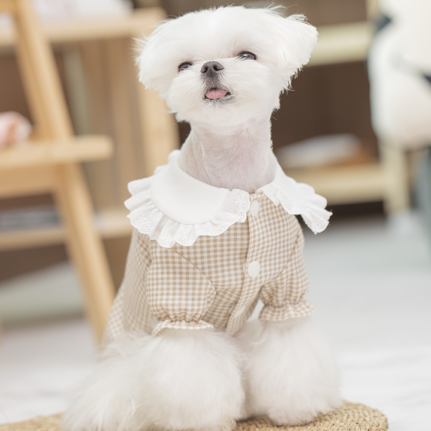 오프닝뮤즈 체크 프릴 가디건 오가닉 강아지옷 강아지가디건 - 상세 이미지 2