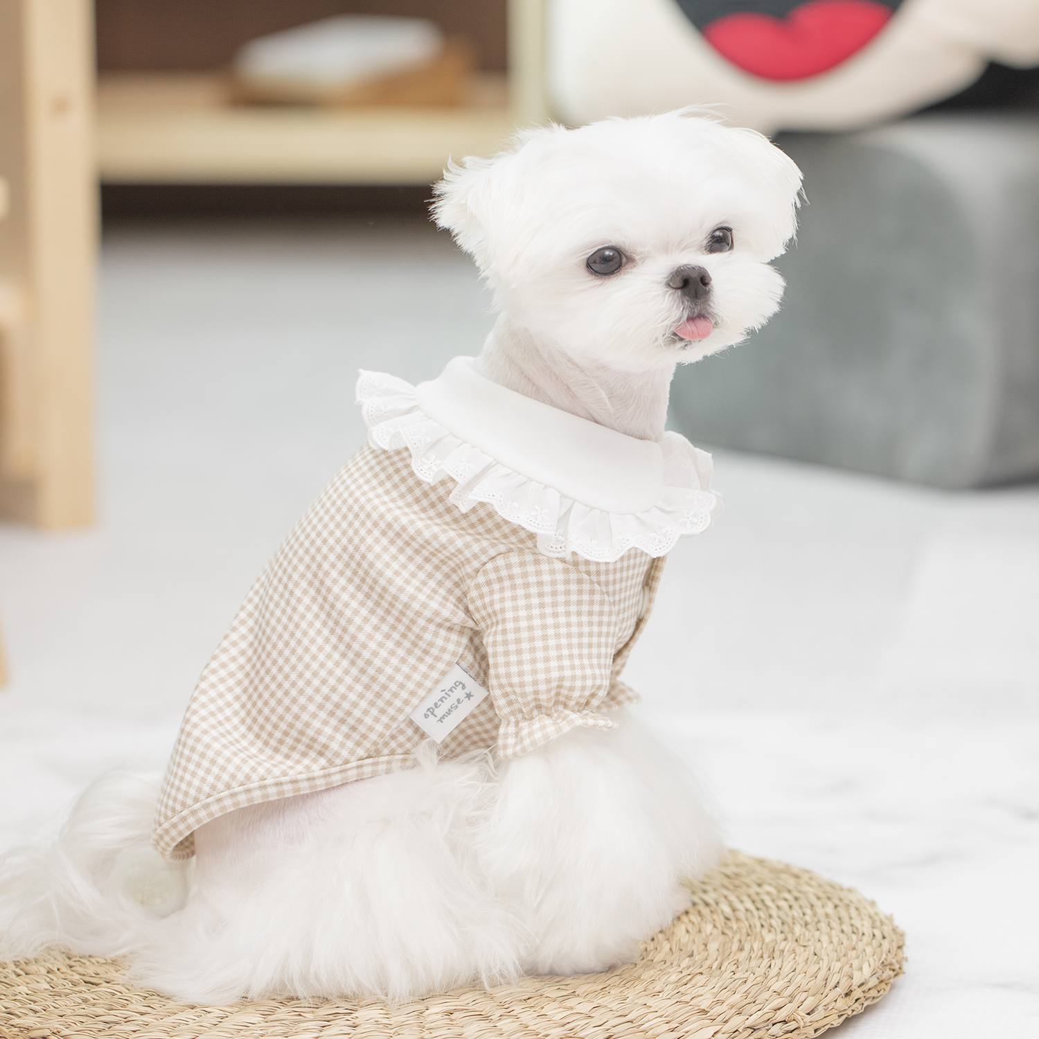 오프닝뮤즈 체크 프릴 가디건 오가닉 강아지옷 강아지가디건 - 상세 이미지 3