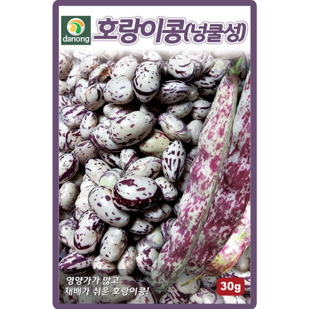 다농 호랑이콩 씨앗 30g 넝쿨성 강낭콩씨 종자