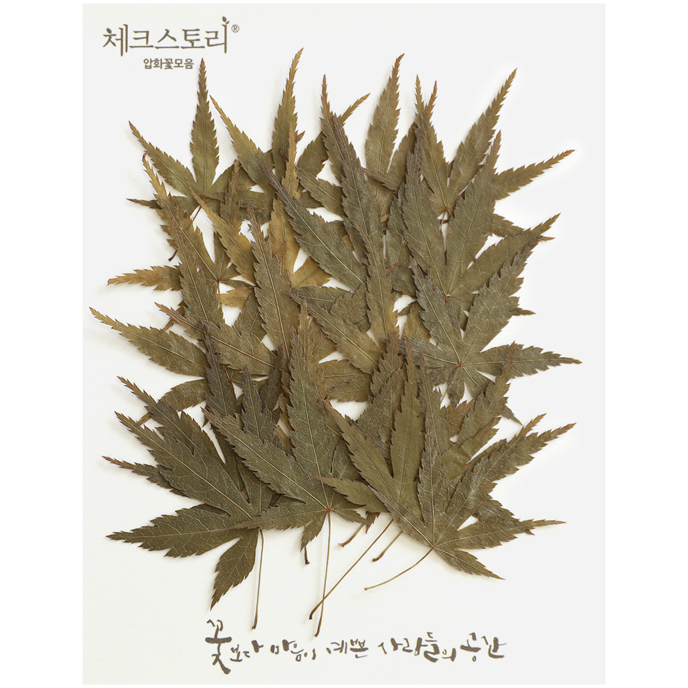 줄기잎 미니 단풍잎 그린 20개(자연) - 상품 이미지