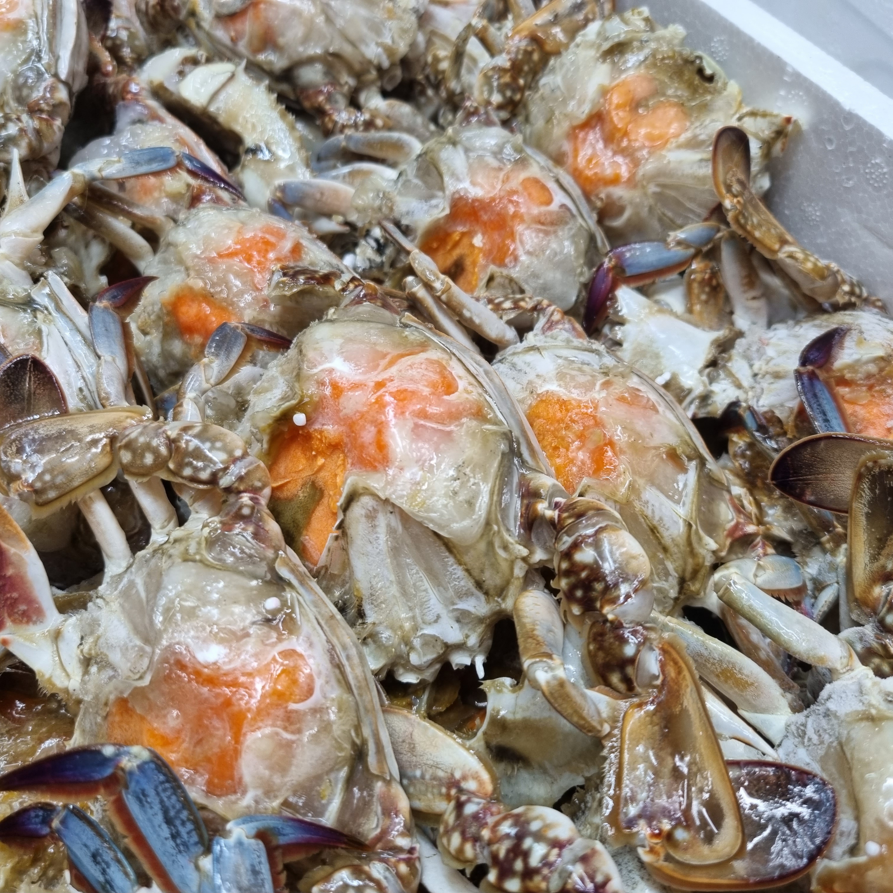 넉넉수산 손질 암꽃게 게딱지 포함 1kg 간장게장용 - 상세 이미지 3