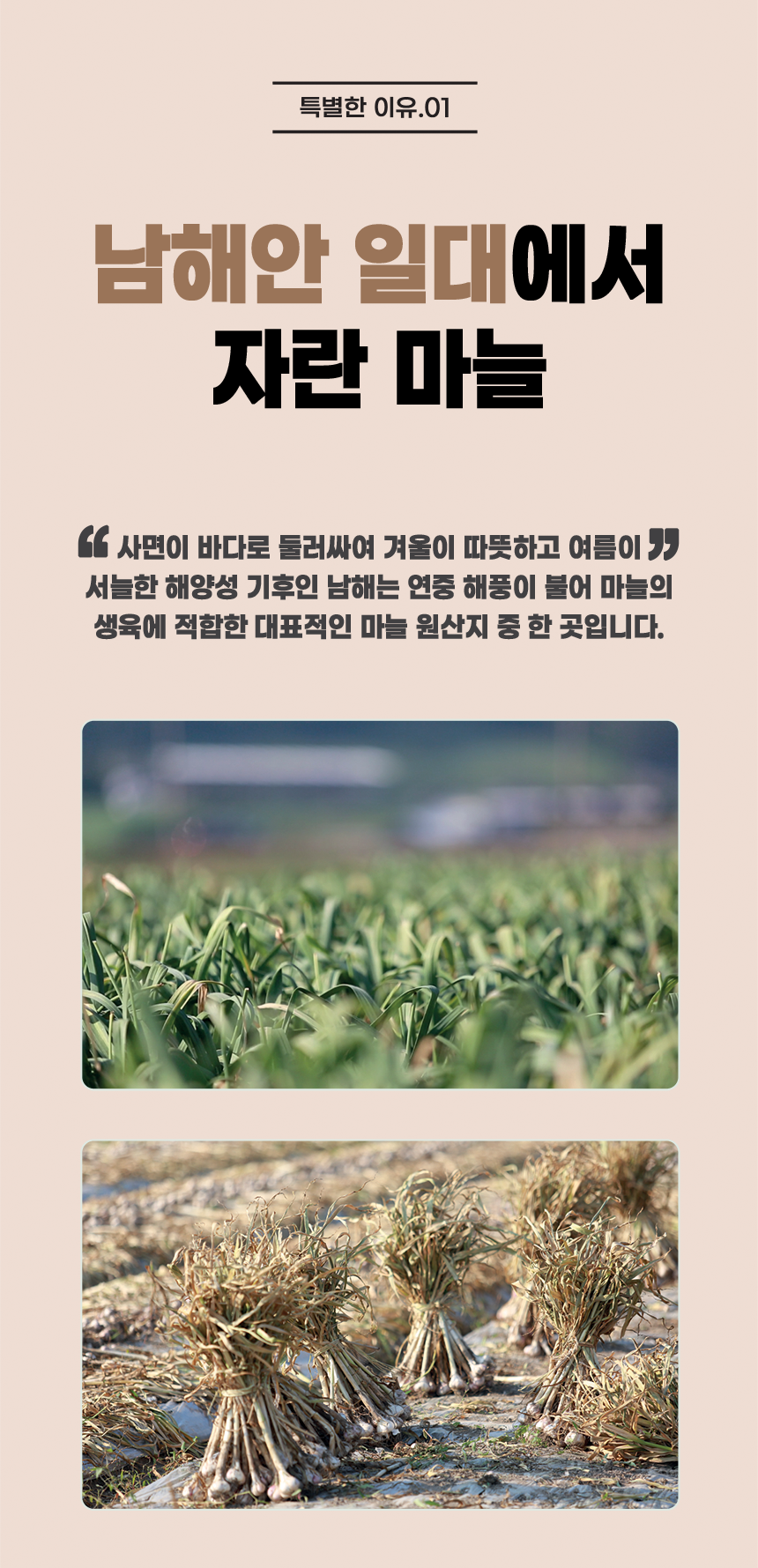 천호엔케어 흑마늘 추출액 100% 진액 흑마늘 즙 30포 - 상세 이미지 4