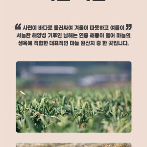 천호엔케어 흑마늘 추출액 100% 진액 흑마늘 즙 30포 맛있게 먹은 솔직 후기 - 상품 이미지 4