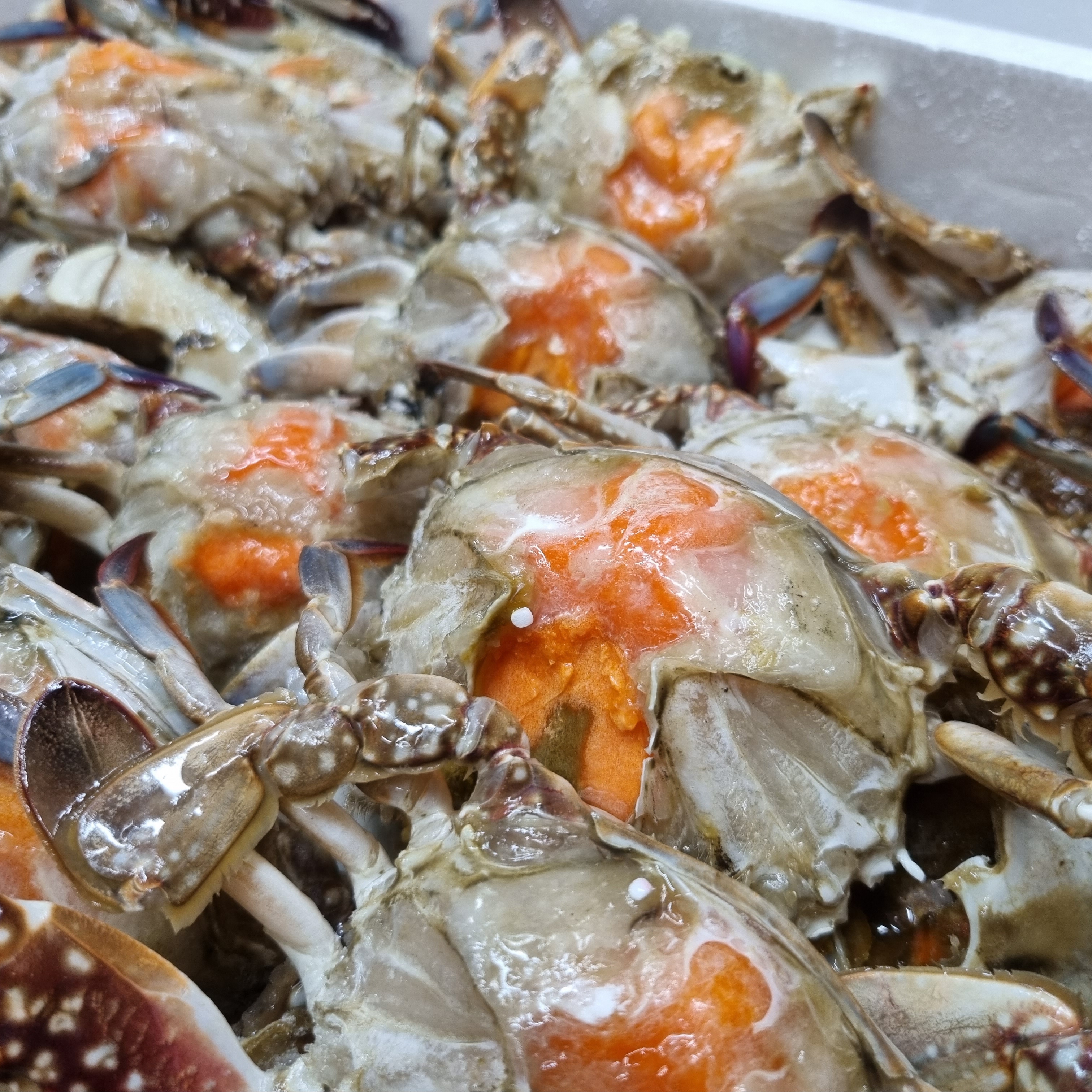 넉넉수산 손질 암꽃게 게딱지 포함 1kg 간장게장용