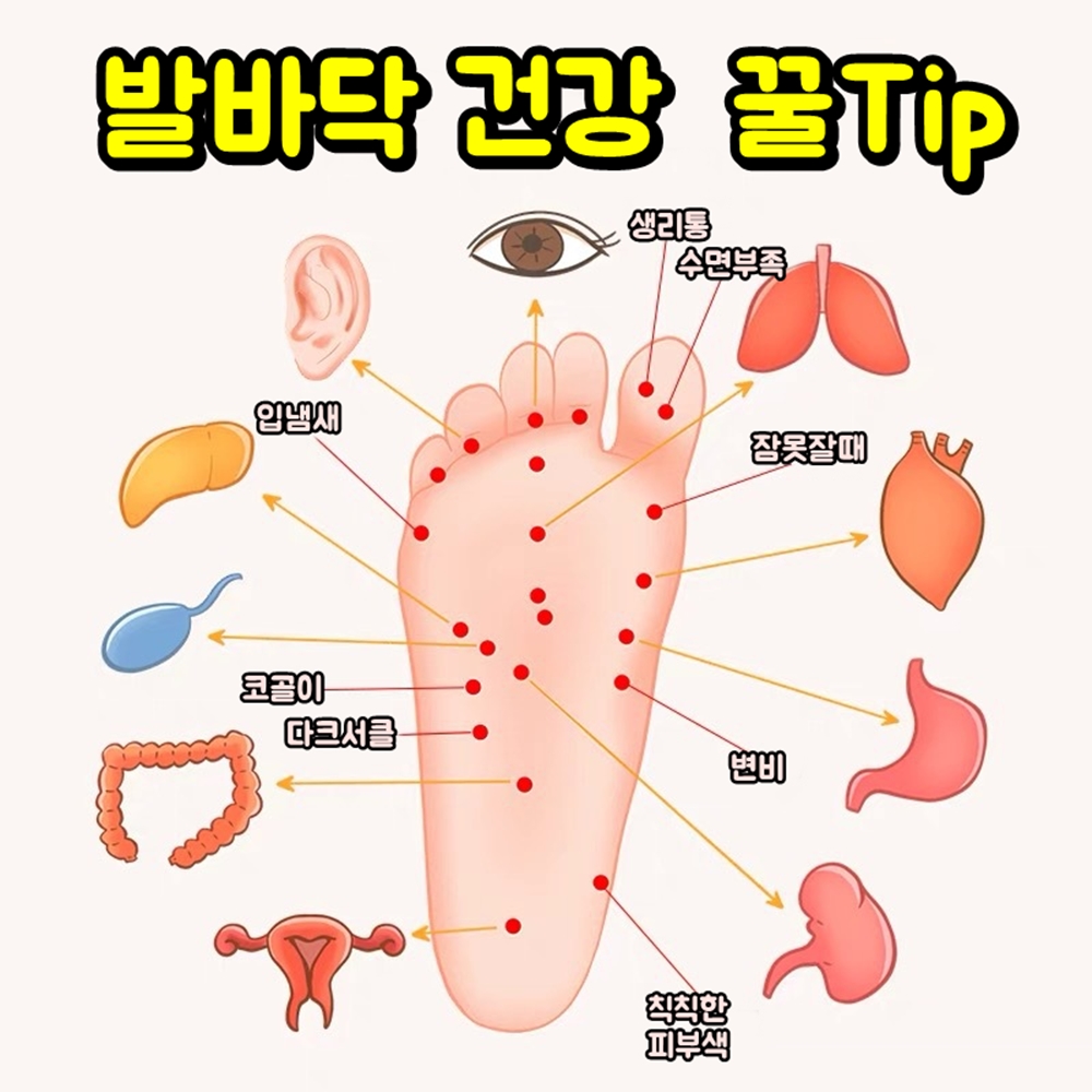 발바닥마사지기 발바닥 마사지 발 롤러 - 상세 이미지 3