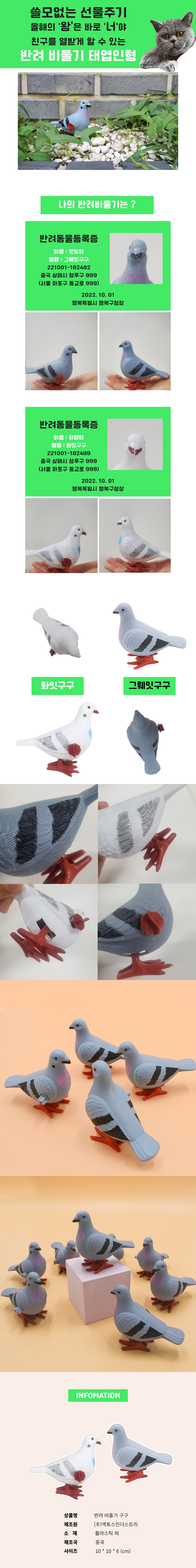 나만의 친구, 반려 비둘기 구뤠잇구구와 화잇구구 상세 이미지 3