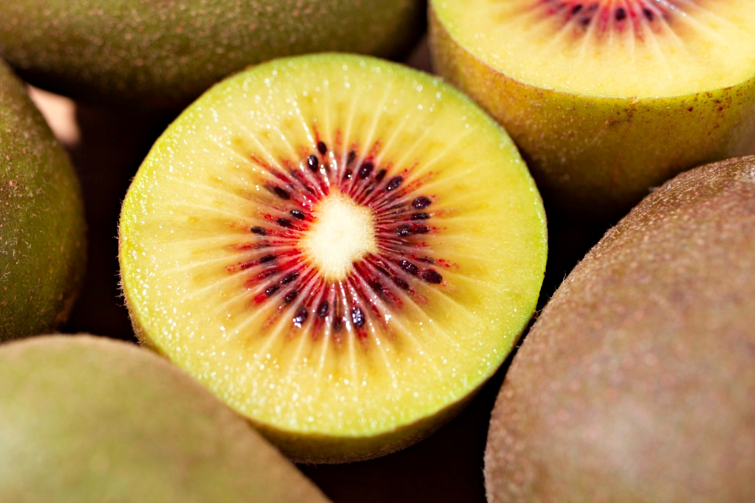 레드키위 2kg 3kg 중과 대과 특대과 제주 산지직송