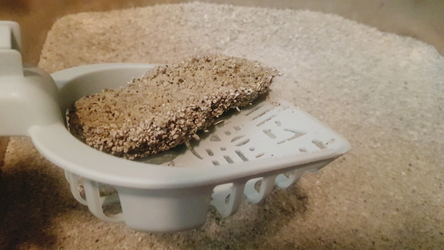 모찌네모래 무향 프리미엄 6.3kg 와이오밍 벤토나이트 캣픽샌드 고양이모래 - 상세 이미지 4