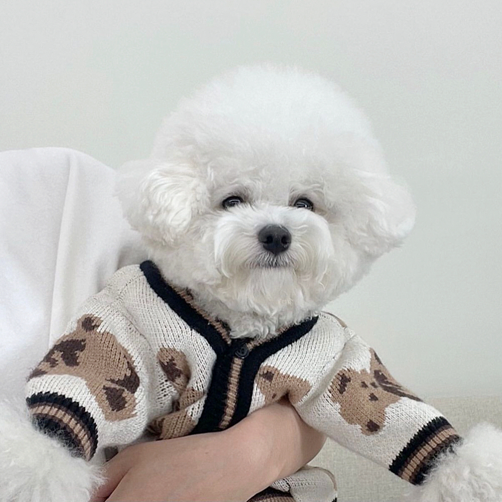 강아지 옷 곰돌이 니트 가디건 봄 가을 겨울 소형견 중형견 대형견 이미지 8