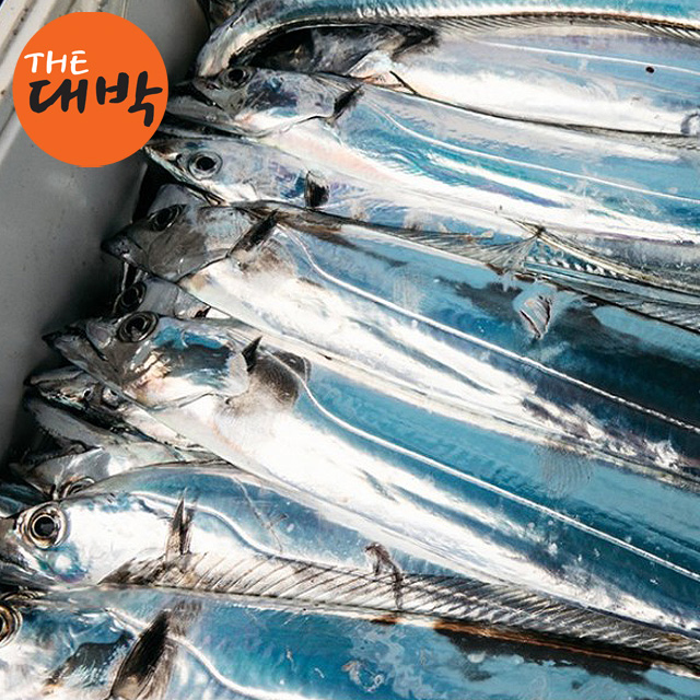 제철 갈치 은갈치 구이 조림 손질 토막