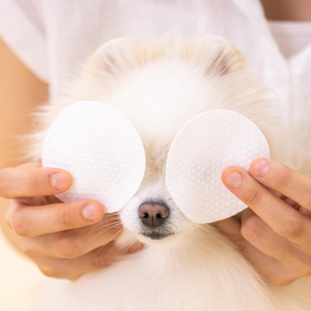 정글몬스터 퓨어아이 원클리어 눈물세정제 패드