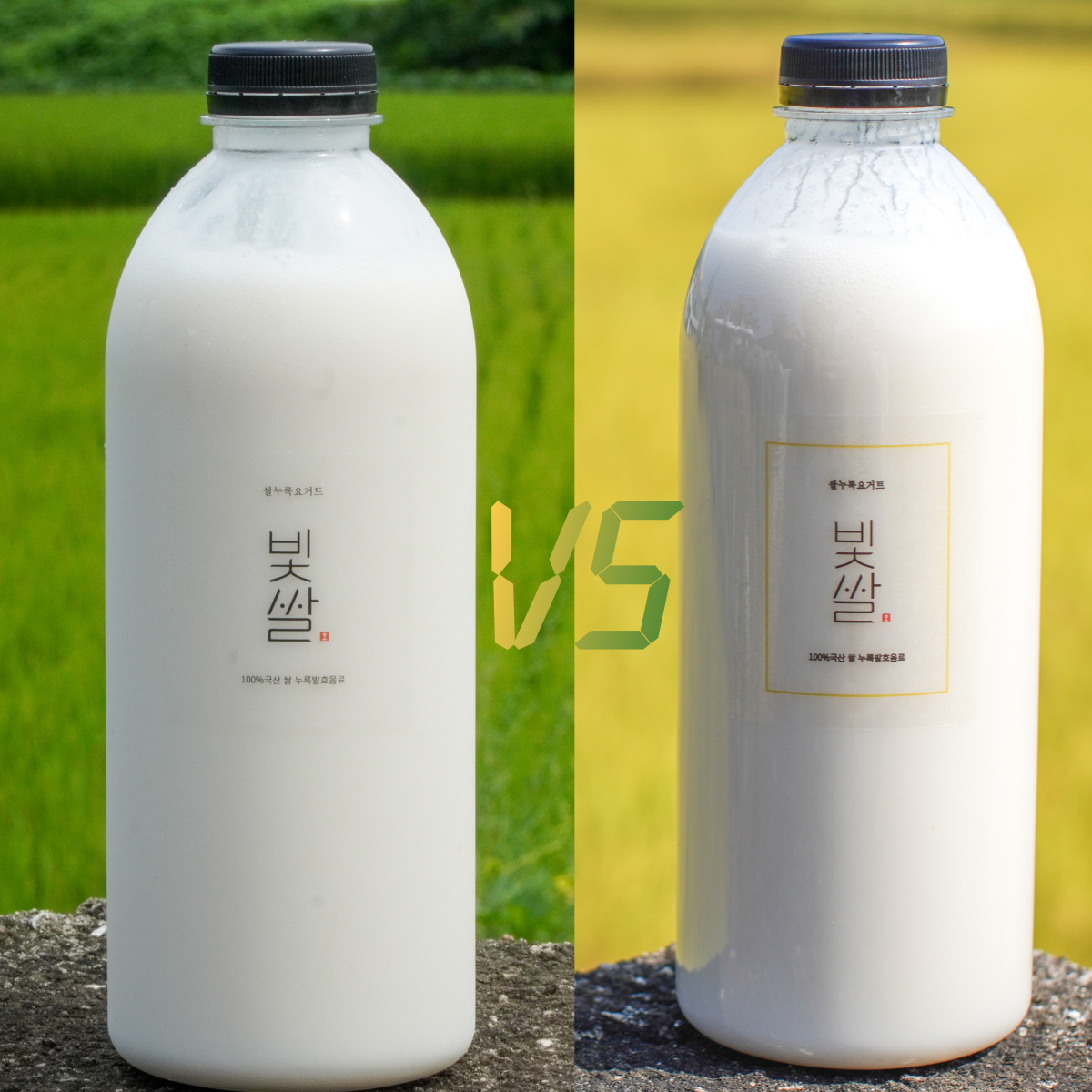 빛쌀 식물성 유산균음료 플레인 참드림 골든퀸 3호 쌀 품종별 맛보기세트 - 상품 이미지