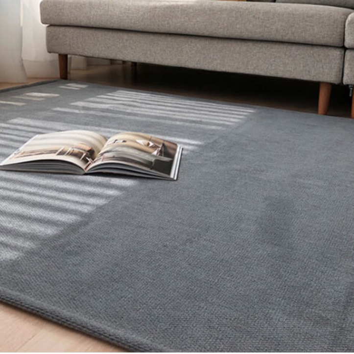 고급 바닥 거실 패드 겨울 북유럽 카페트 모던 카페트