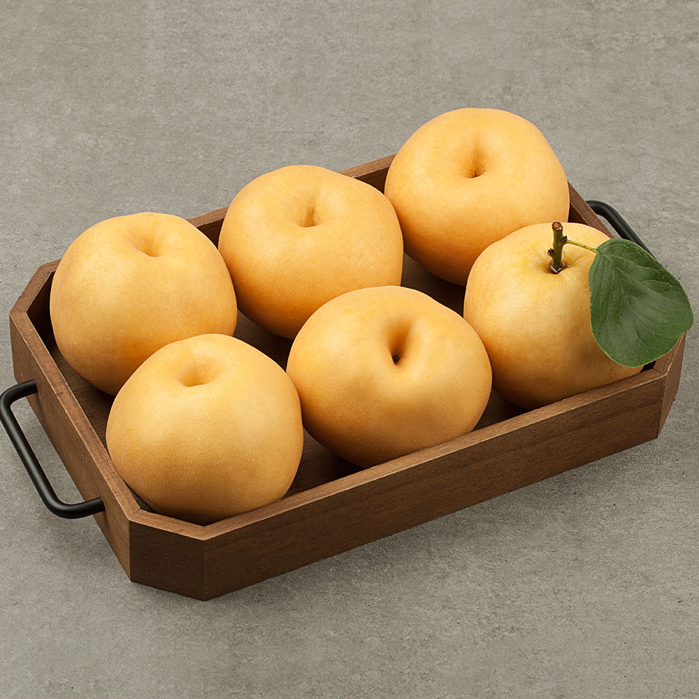 26년 햇 나주 배 3kg 5kg 이미지 8