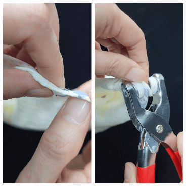 똑순이 똑딱이 9.5mm 100개 세트 단추 달기 가시단추 기기포함 - 상세 이미지 3