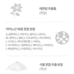 징코빌로바 메모리 플러스 60정 2개월분 맛있게 먹은 솔직 후기 - 상품 이미지 4