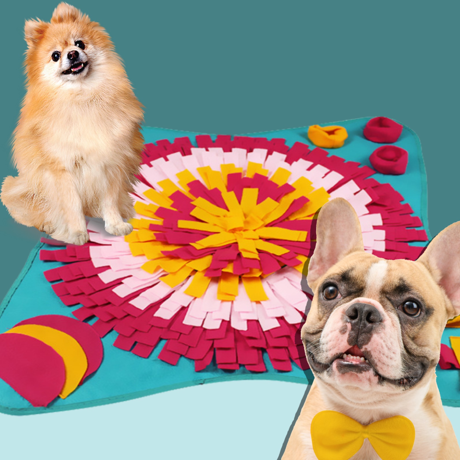 강아지노이즈워크 담요 반려견노즈워크매트 킁킁탐험대