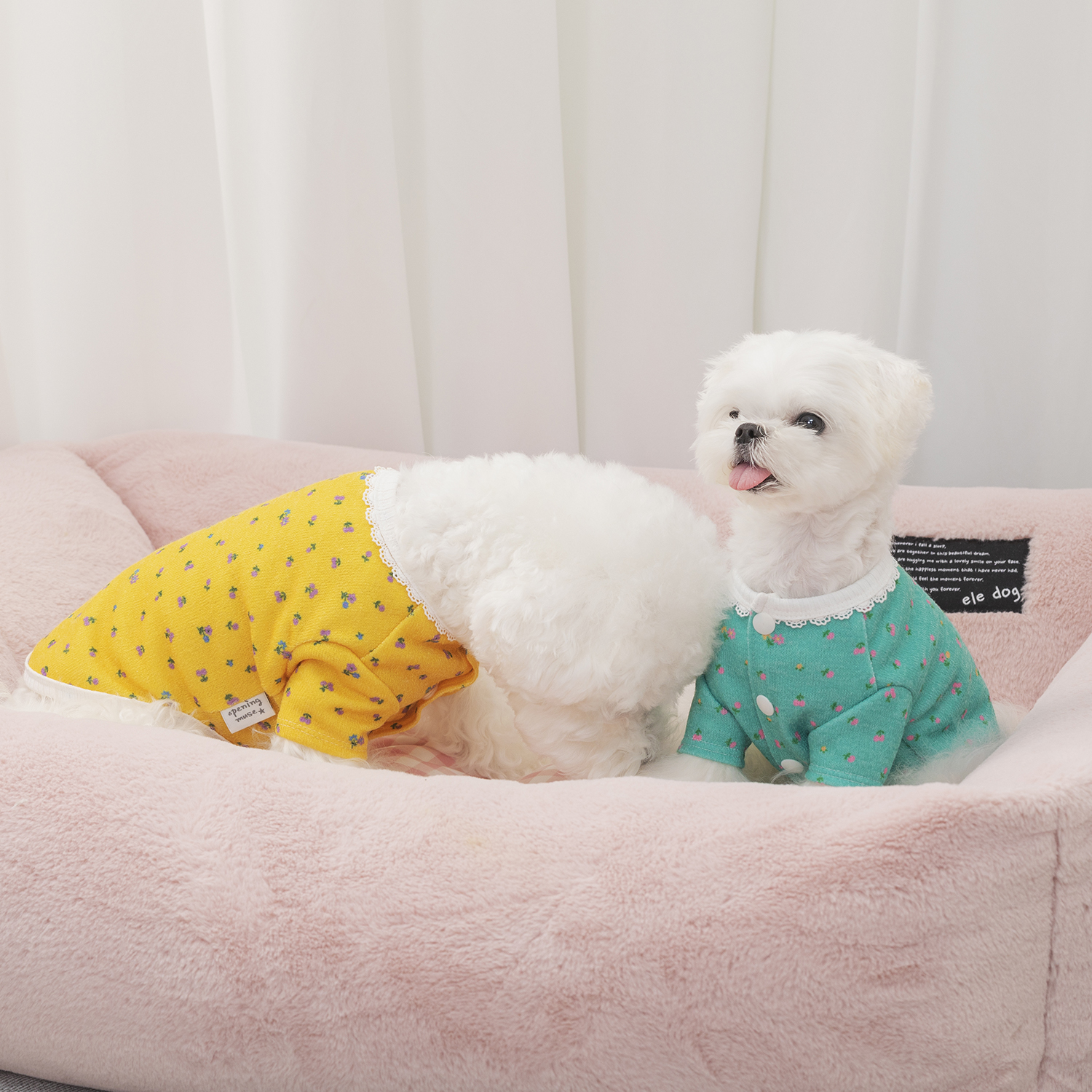 오프닝뮤즈 레이스 플라워 가디건 강아지옷 강아지가디건 이미지 6