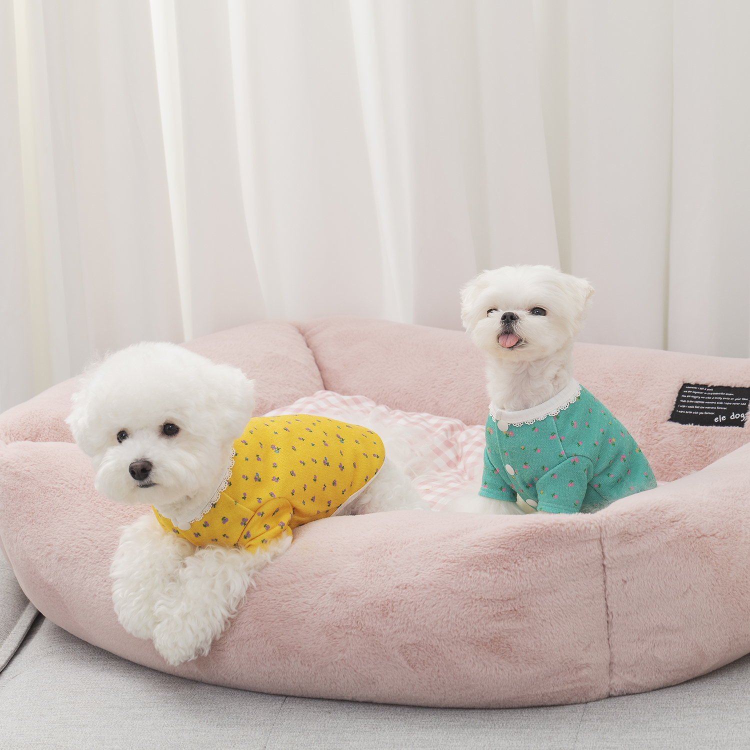 오프닝뮤즈 레이스 플라워 가디건 강아지옷 강아지가디건 - 상품 이미지