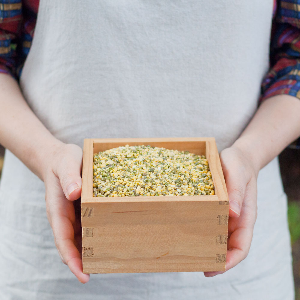 국산 무농약 깐녹두 500g 녹두콩 거피