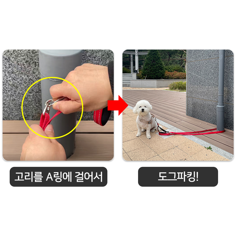 강아지 리드줄 길이조절 폴딩 산책줄 기본고리 - 상세 이미지 5