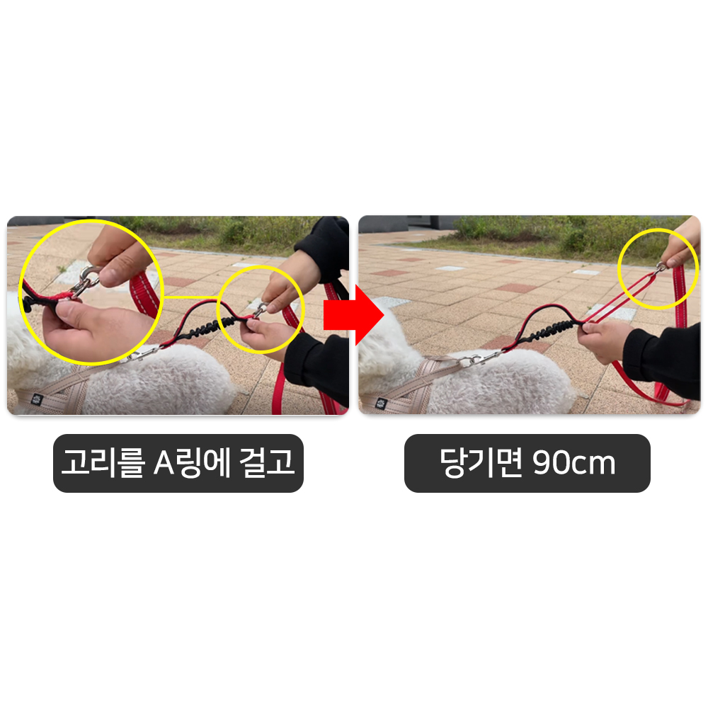 강아지 리드줄 길이조절 폴딩 산책줄 기본고리 - 상세 이미지 3