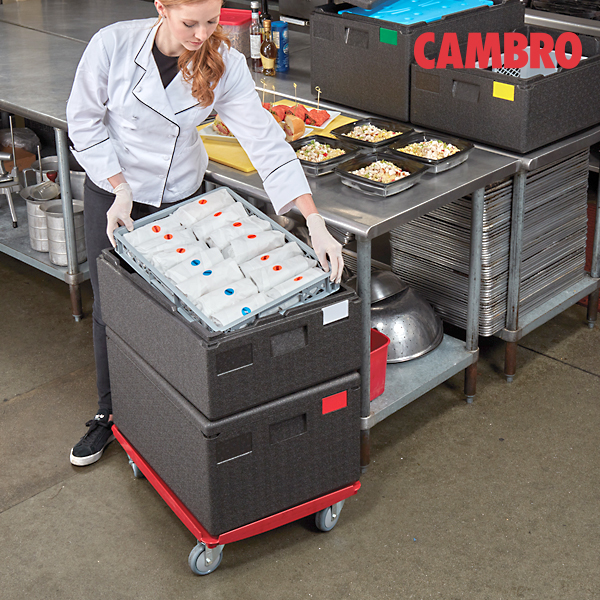 캠브로 고박스 (46L) EPP180