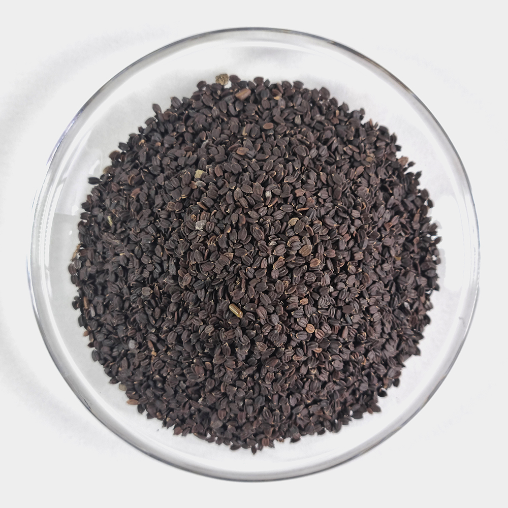 바질씨드 500g 바질시드 바질씨앗(대) - 상세 이미지 3