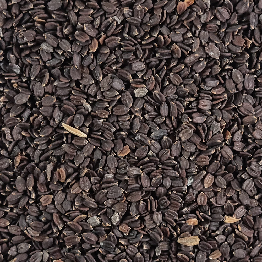 바질씨드 500g 바질시드 바질씨앗(대) - 상세 이미지 4