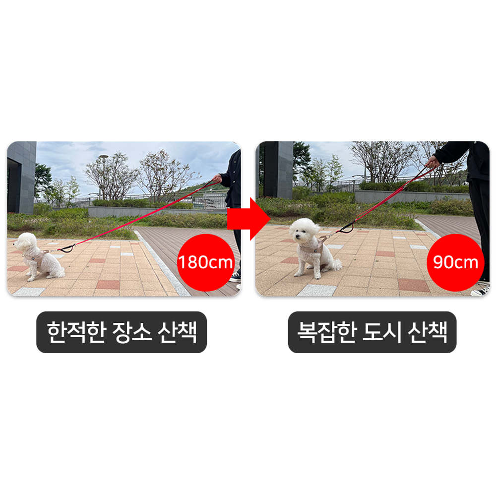 강아지 리드줄 길이조절 폴딩 산책줄 기본고리 - 상세 이미지 4