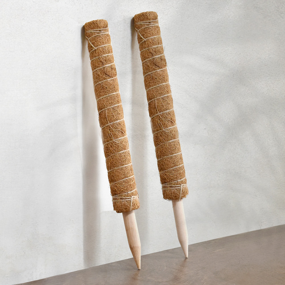 수태봉 식물지지대 코코봉 몬스테라 연결형 30cm - 상품 이미지