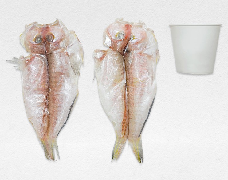 옥돔 반건조 말린 구이용 제주도 특산물 피쉬 제주돔 택배 500g x 2팩 - 상세 이미지 5