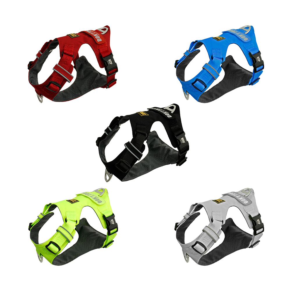인터라켄 초경량 강아지 라이트 하네스 H형 소형견 대형견 앞섬방지 앞고리 가슴줄