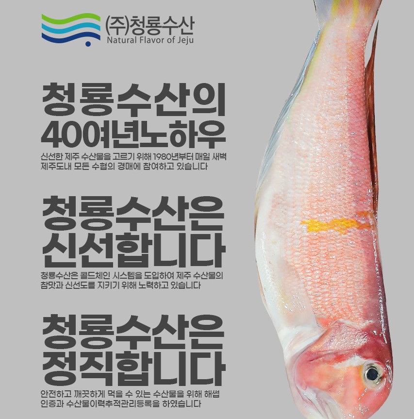 옥돔 반건조 말린 구이용 제주도 특산물 피쉬 제주돔 택배 500g x 2팩 - 상세 이미지 3