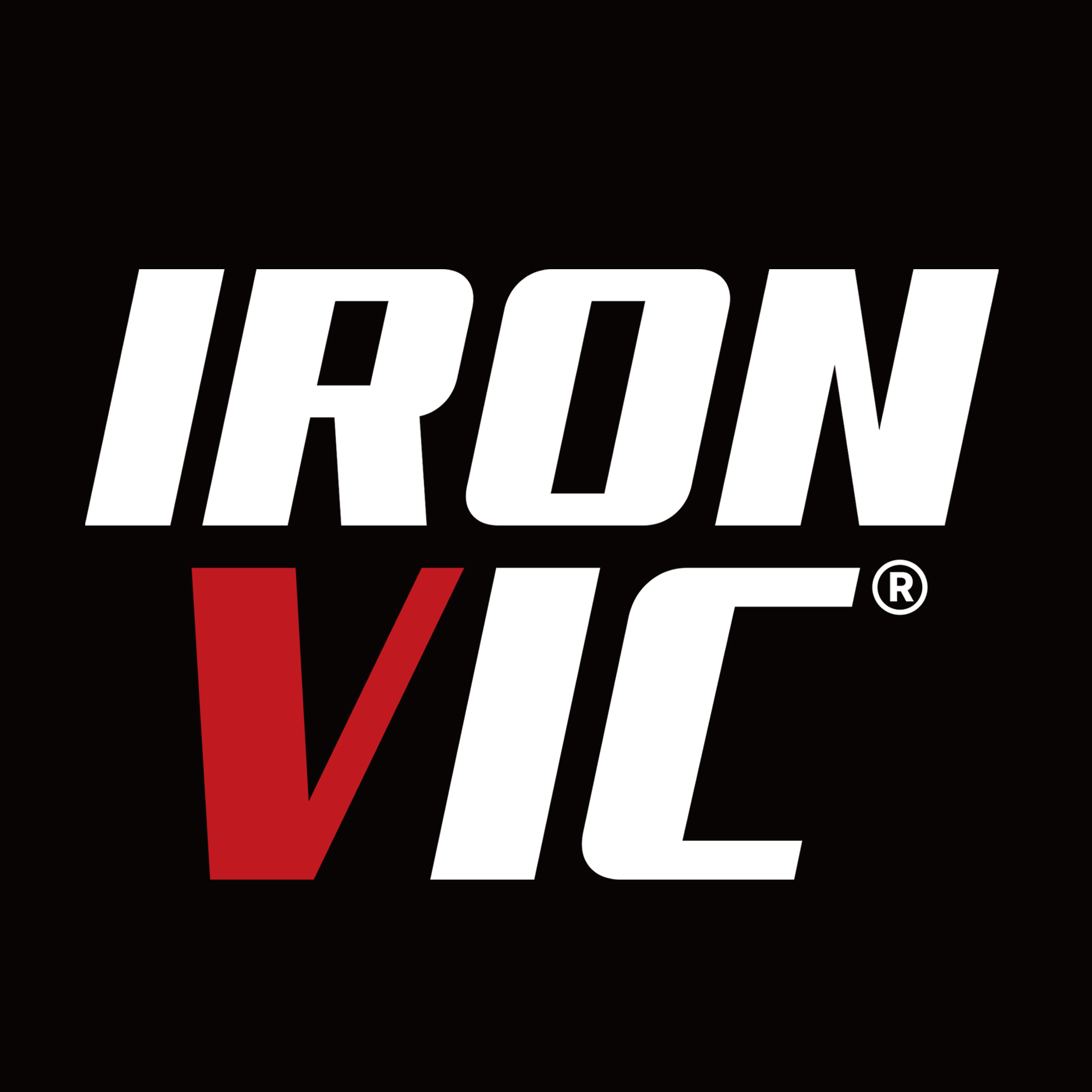 아이언빅 스토어 로고