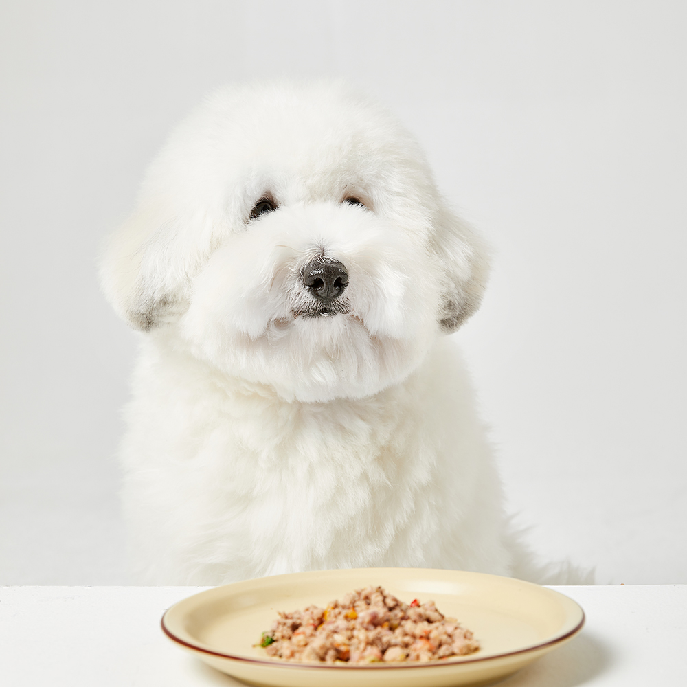 강아지화식 소 닭 돼지 오리 캥거루 50g x 20팩 1Kg