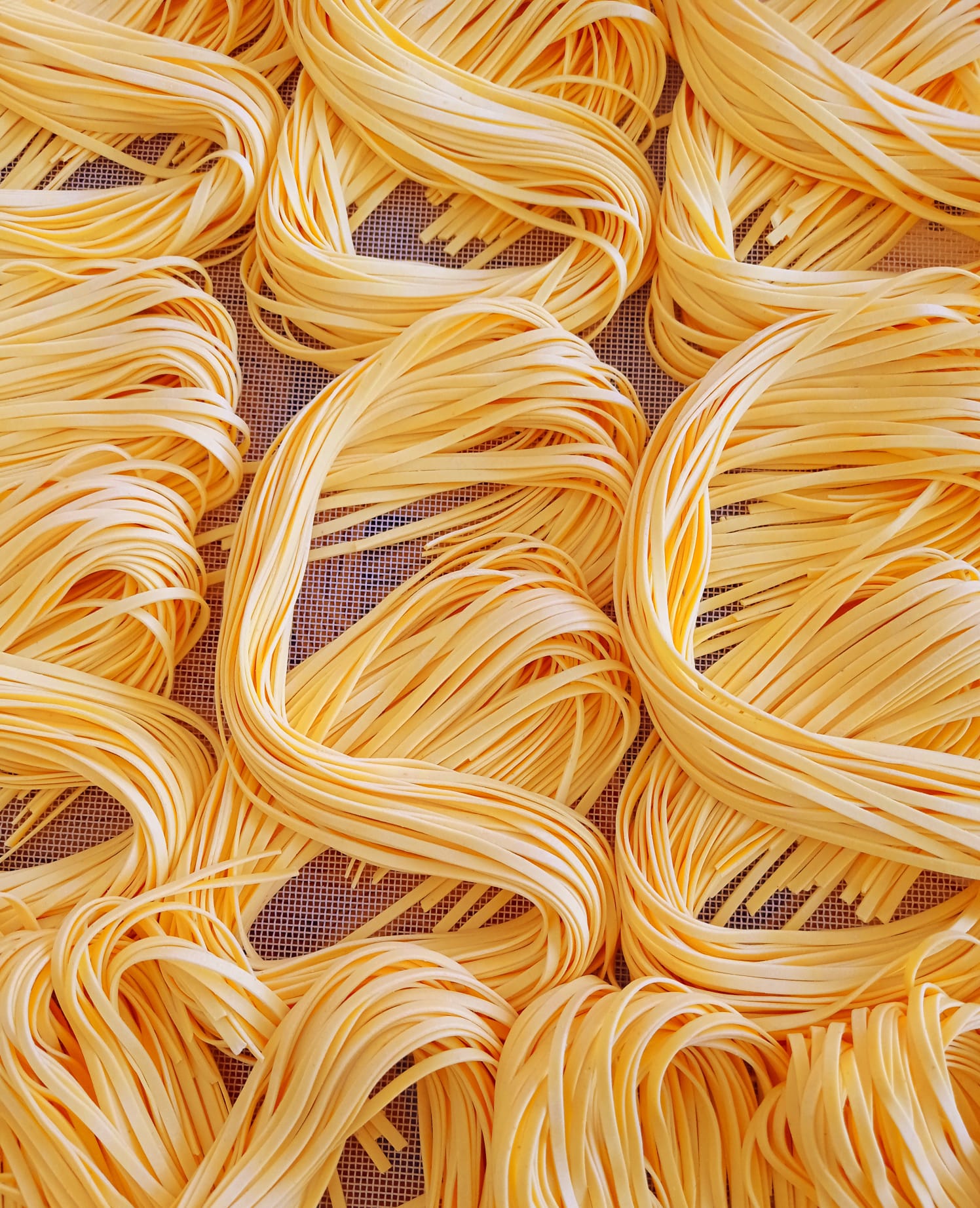 카포니 에그파스타 탈리올리니, 250g, 1개 이미지 6
