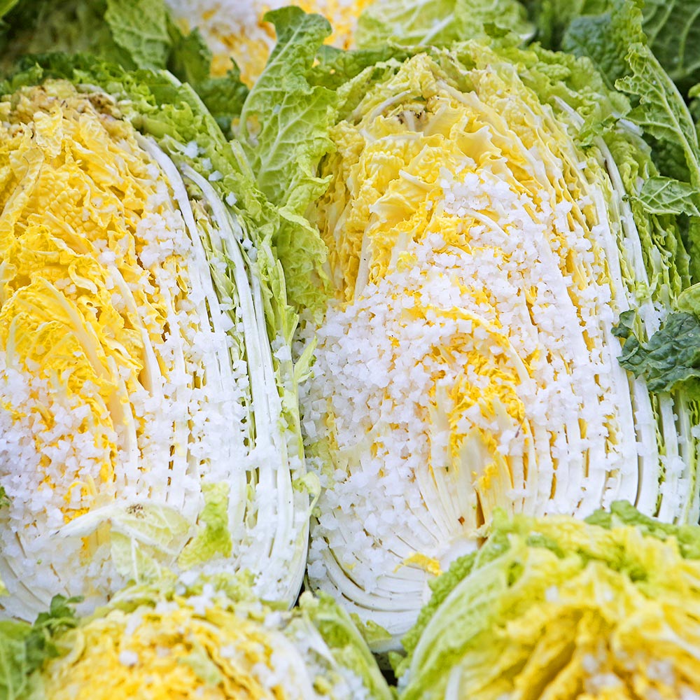 전라도 해남 절임배추 10kg 20kg 날짜지정배송 절인배추 김장 양념 - 상품 이미지