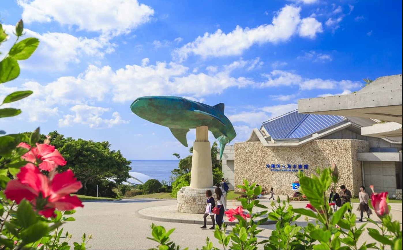 일본 오키나와 | 츄라우미 수족관 Okinawa Churaumi Aquarium 입장권 - 상세 이미지 2