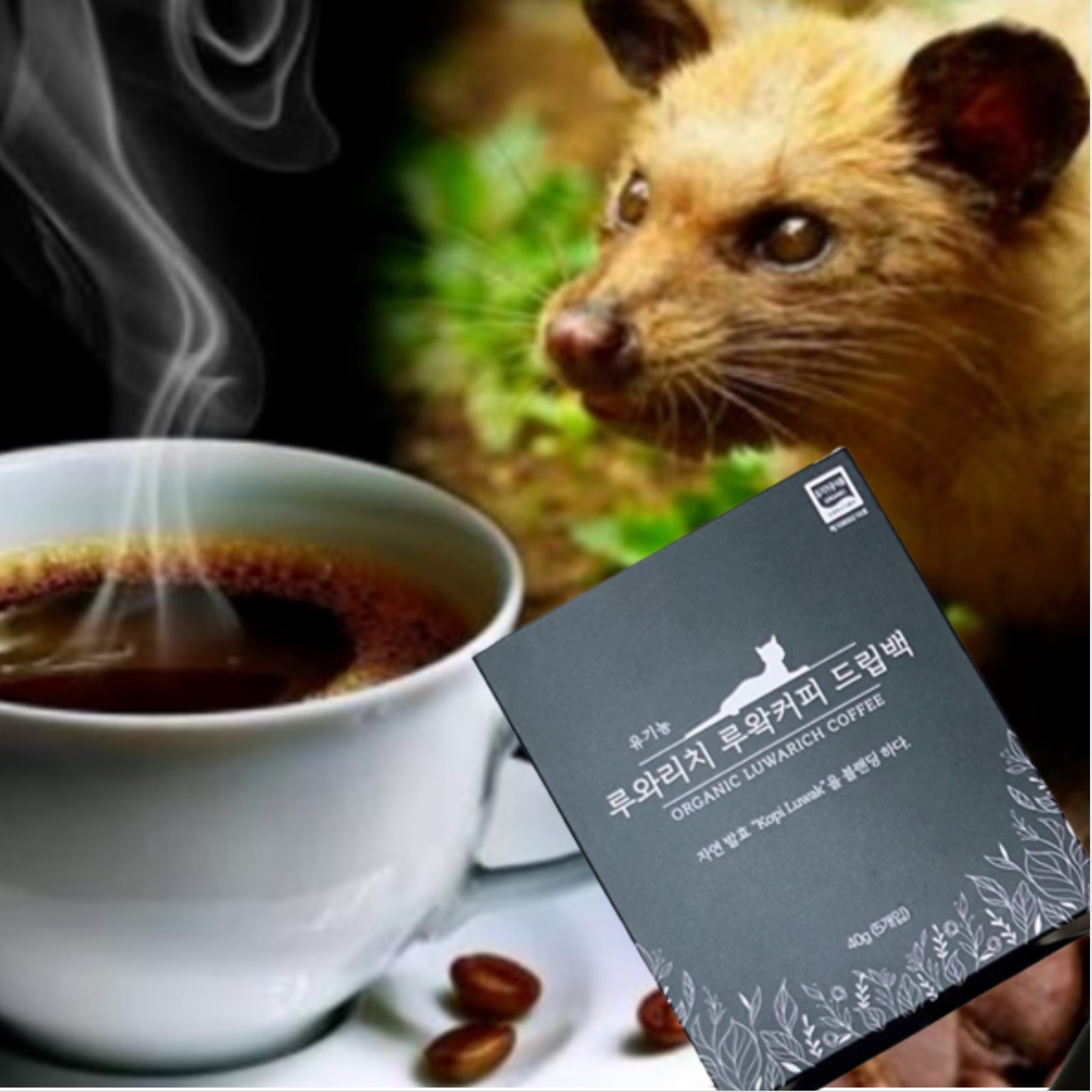 인도네시아 루왁 커피 사향 고양이 커피 똥 코피 르왁 원두