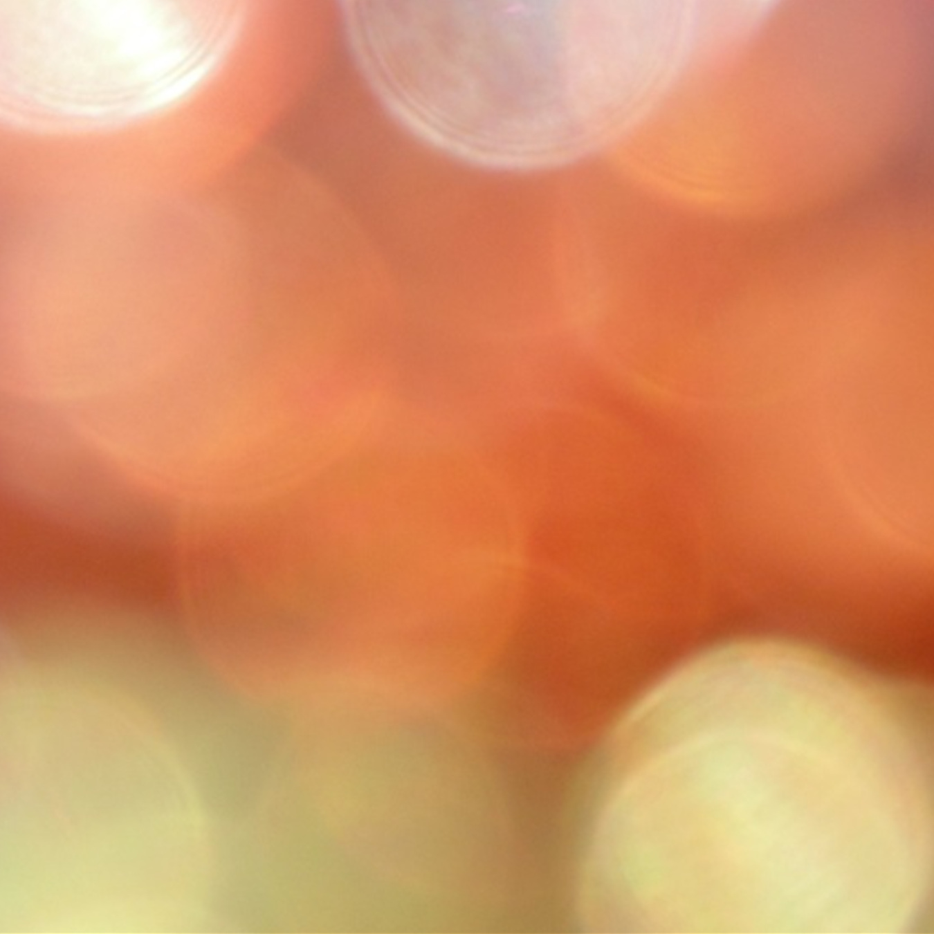 실버채 스토어 로고