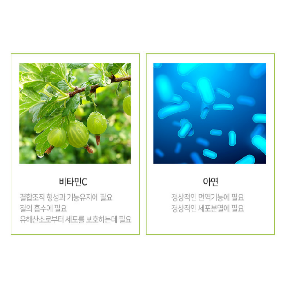 곤약 세라마이드 글루코실 세라미드 곤약감자추출물 아연 히알루론산 이미지 2