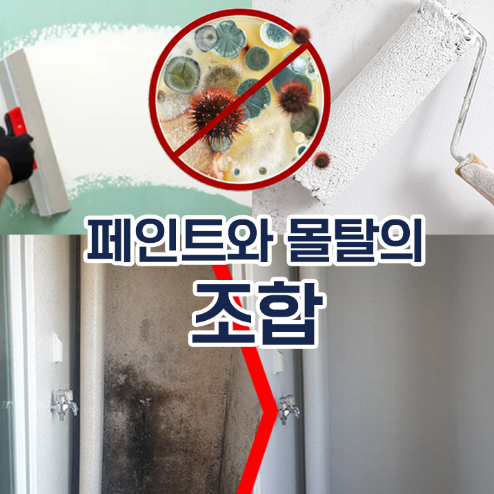 곰팡이 심한곳 이 조합으로 시공 젯소 세트 규조토하임 페인트10kg 몰탈 결로방지 베란다 - 상세 이미지 5
