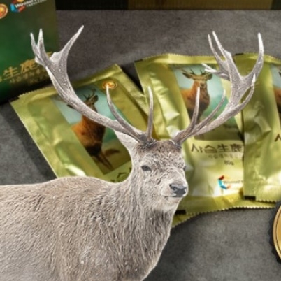 국내산 녹용 진액 원액 농축액 추출액 엑기스 60포