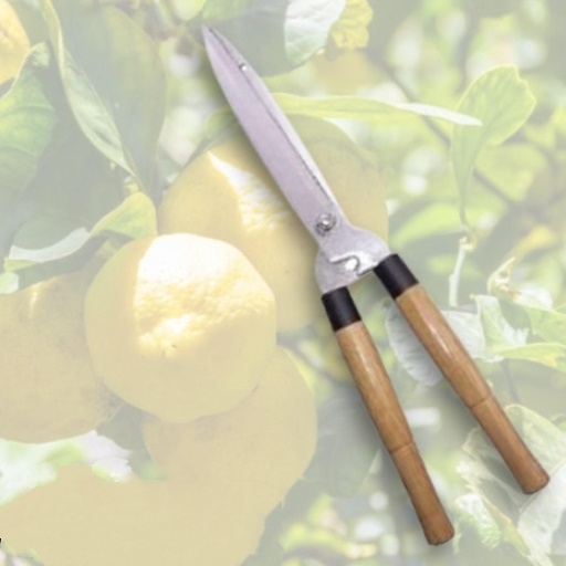 작업용가위 높은나무가지치기 정원용가위 벌초가위