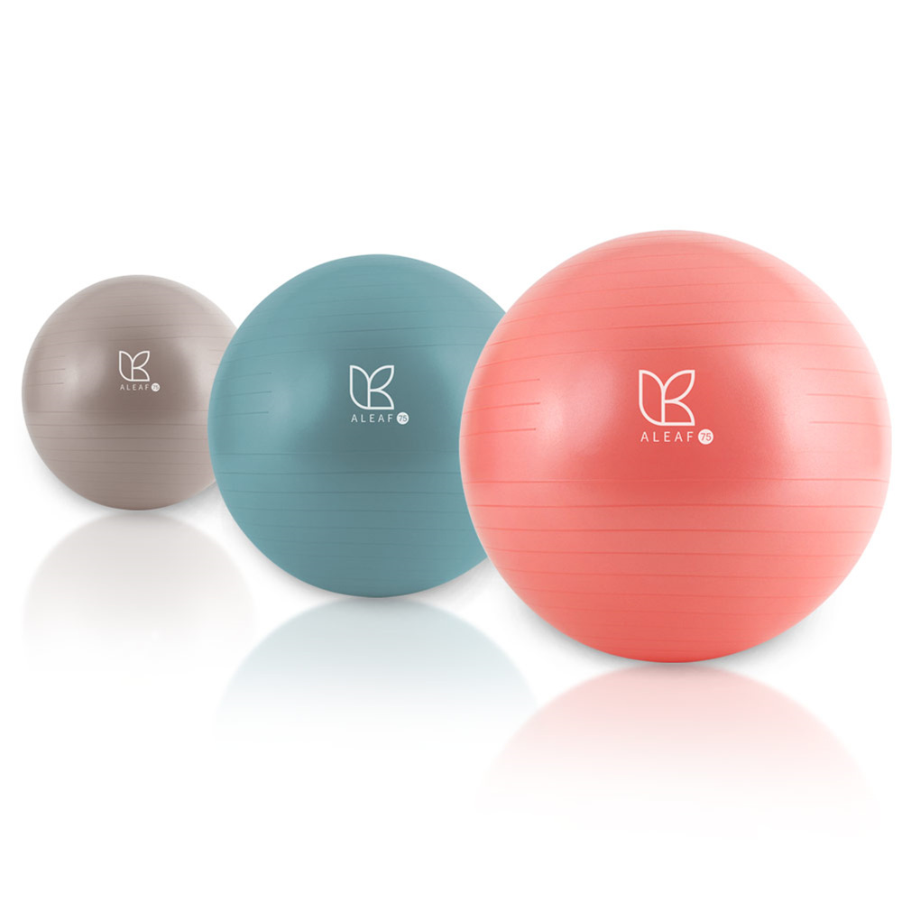 아리프 안티버스트 임산부 짐볼 75cm 스트레칭 요가