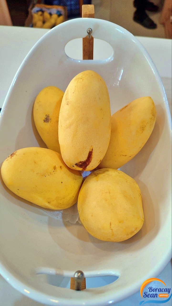 보라카이 칼리보 공항 내부 VIP 라운지