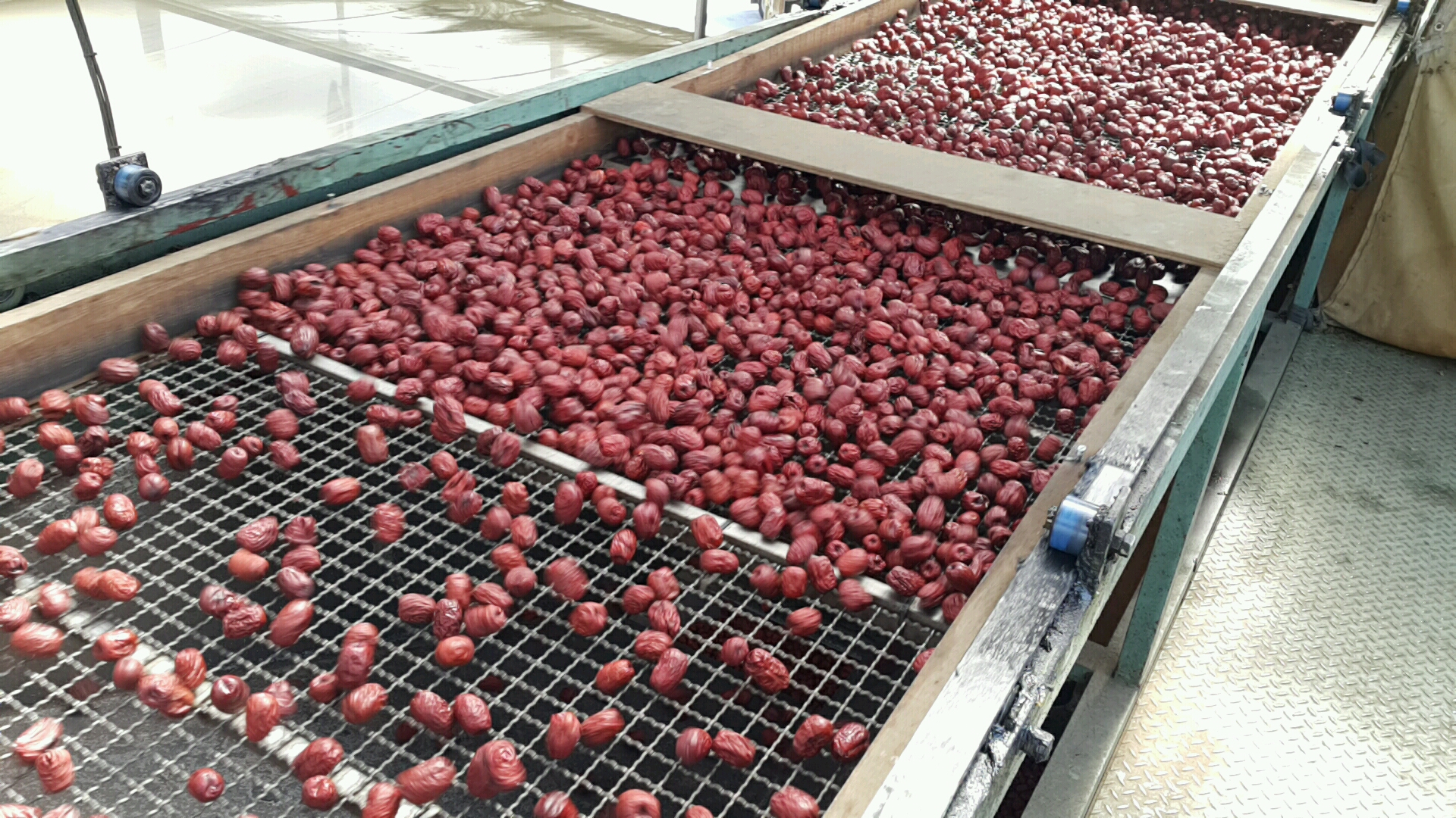 건대추 특초 차 다과 찜 약밥용 10kg, 1개 - 상세 이미지 2